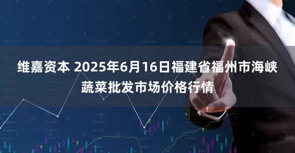 维嘉资本 2025年6月16日福建省福州市海峡蔬菜批发市场价格行情