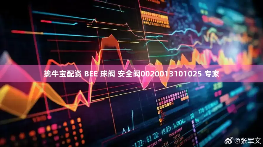 擒牛宝配资 BEE 球阀 安全阀0020013101025 专家